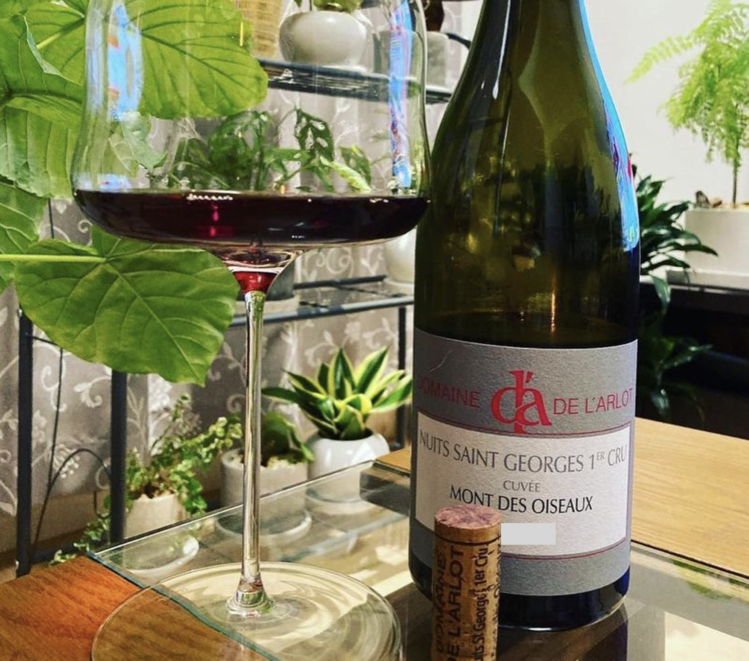 Burgundy Nuits-Saint-Georges 1er Cru "Mont Des Oiseaux", Domaine de L'arlot, FR, 2020 (Géraldine Godot)