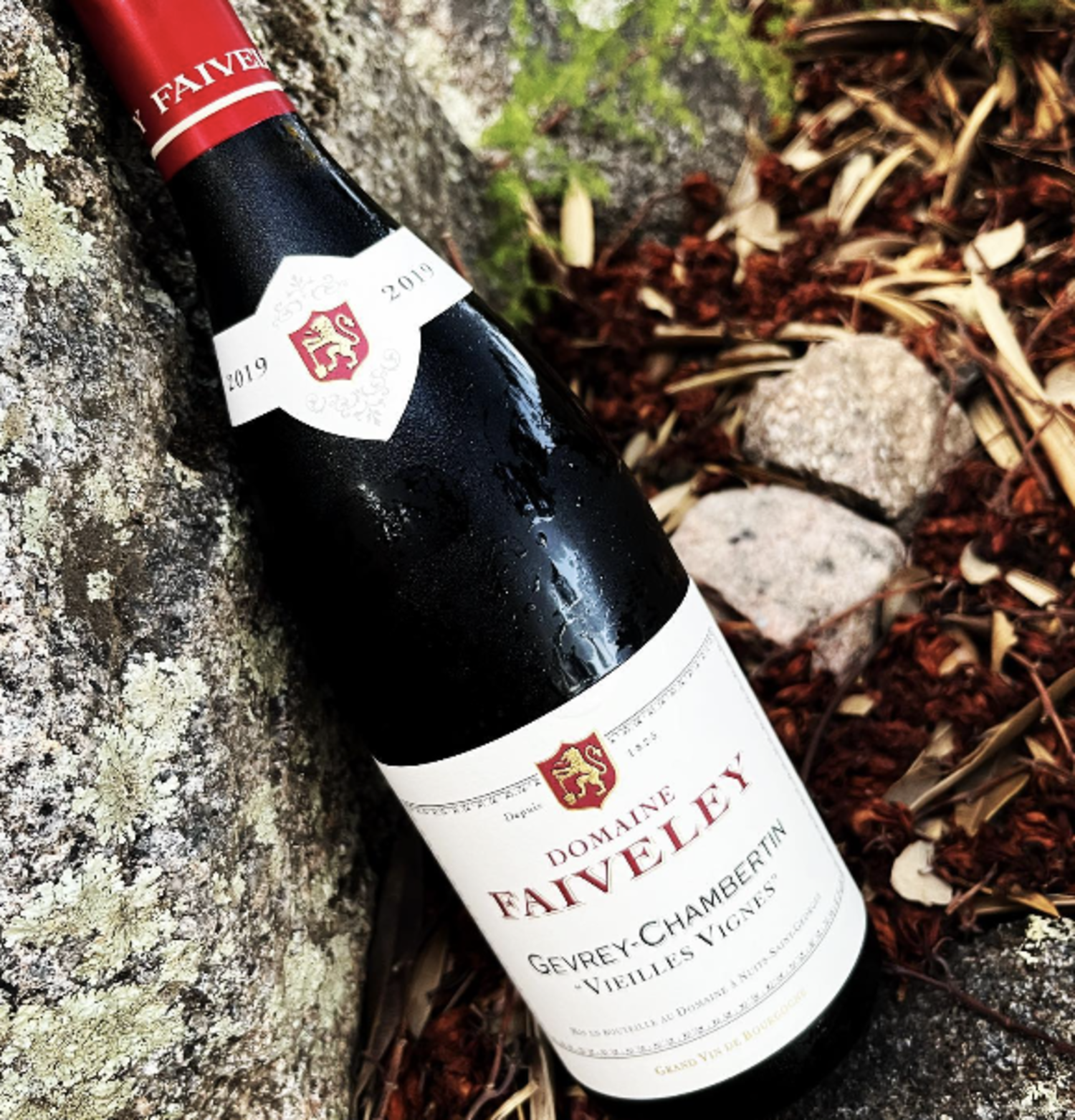 Gevrey Chambertin 