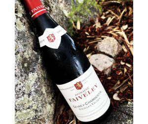 Gevrey Chambertin 