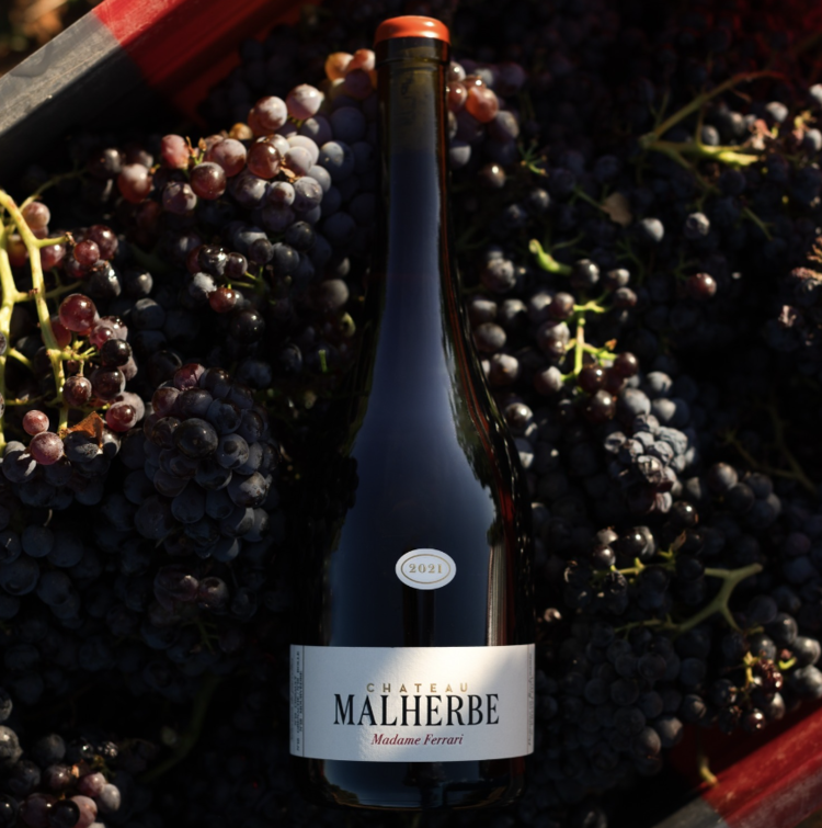 Other Reds Malherbe Rouge , Château Malherbe, Cotes De Provence, FR, 2021