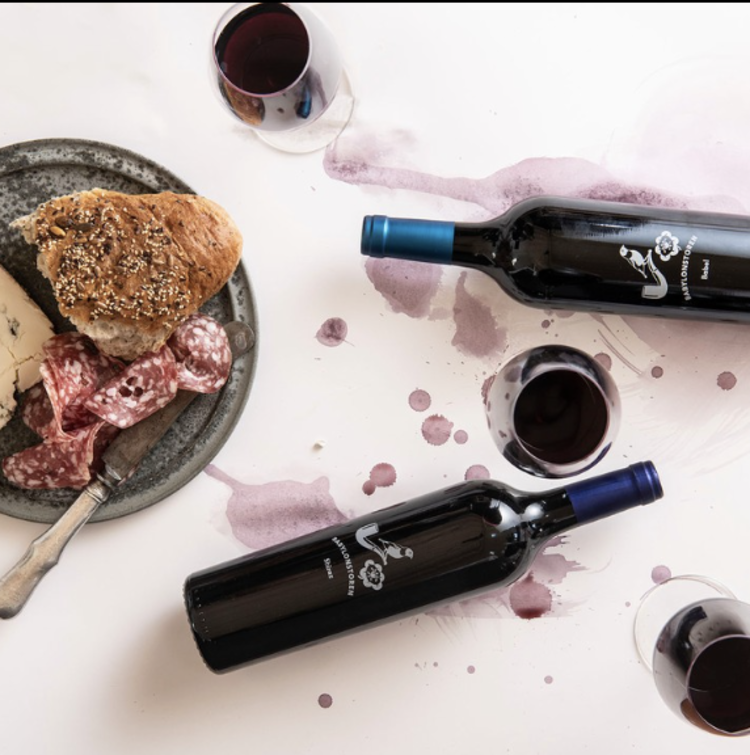 Shiraz/Syrah Shiraz, Babylonstoren, Stellenbosch, ZA, 2022