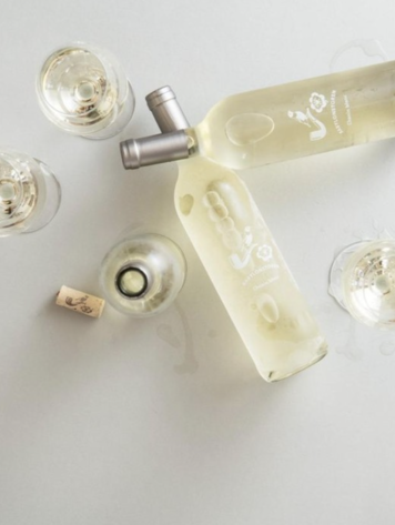 Viognier Viognier, Babylonstoren, Western Cape, ZA, 2023
