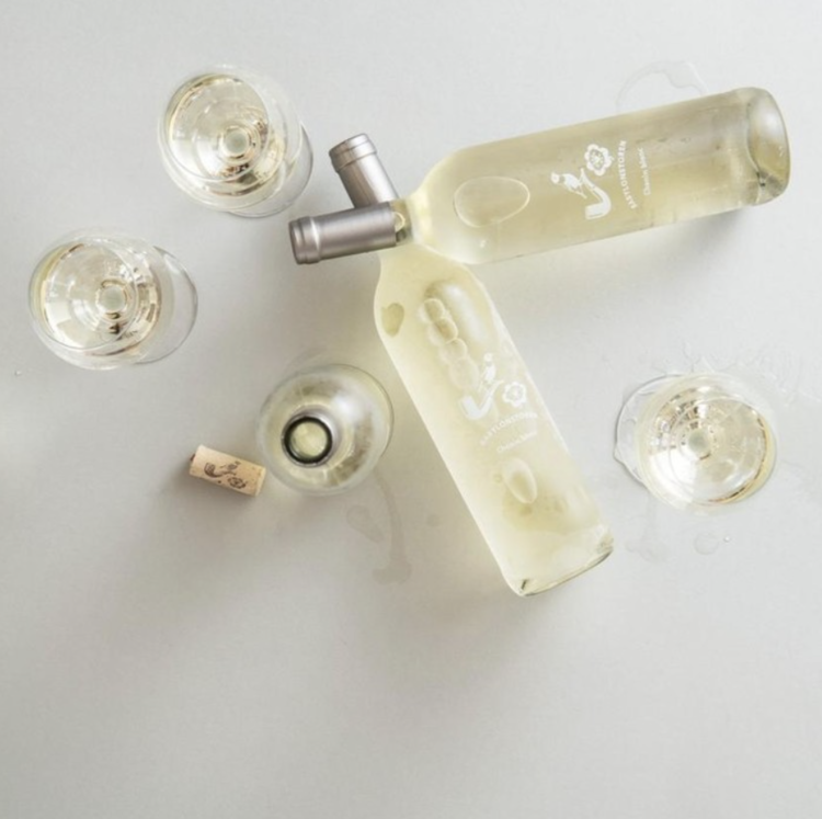 Viognier Viognier, Babylonstoren, Western Cape, ZA, 2023