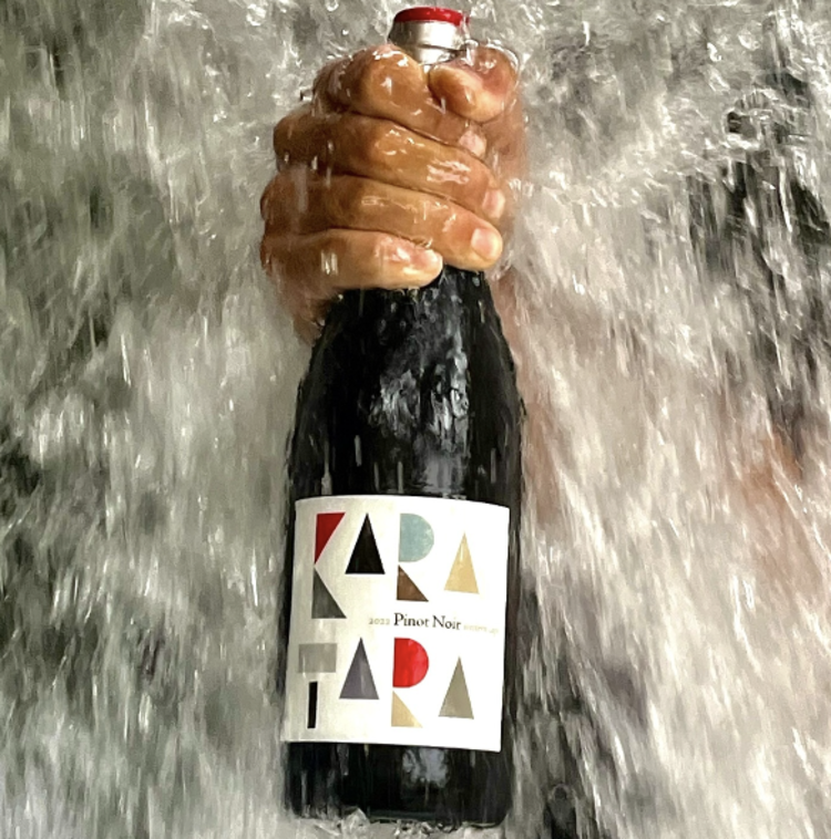 Pinot Noir Pinot Noir "Kara-Tara" Stark-Condé, Western Cape, ZA, 2023