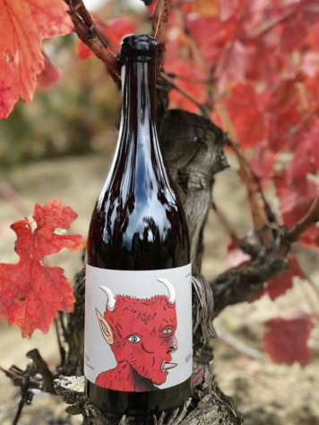 Other Reds Tempranillo "Ahari" Oxer Bastegieta, Rioja ES, 2021