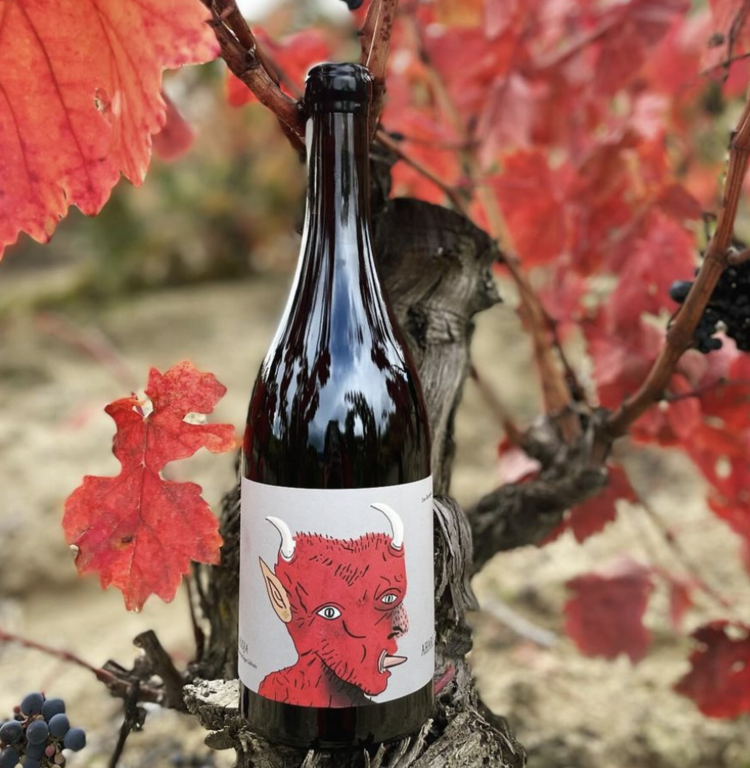 Other Reds Tempranillo "Ahari" Oxer Bastegieta, Rioja ES, 2021