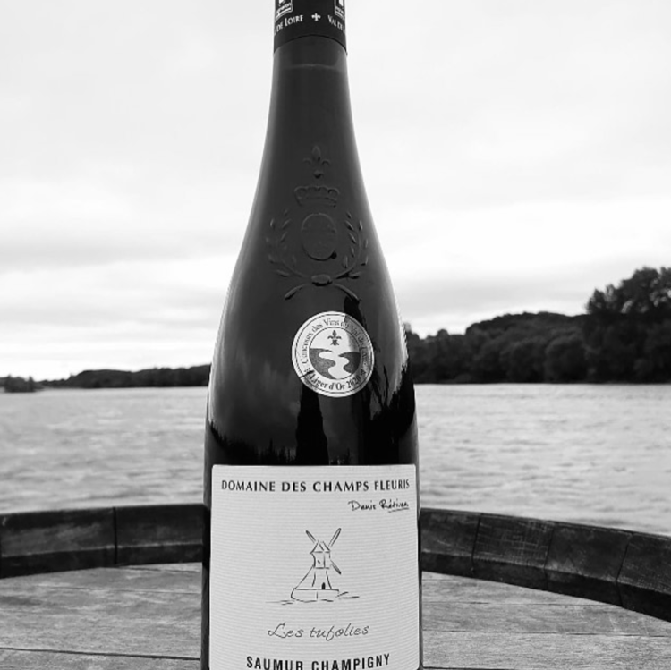 Cabernet Franc Cabernet Franc "Les Tufolies", Domaine des Champs Fleuris, Saumer-Champigny, FR, 2020