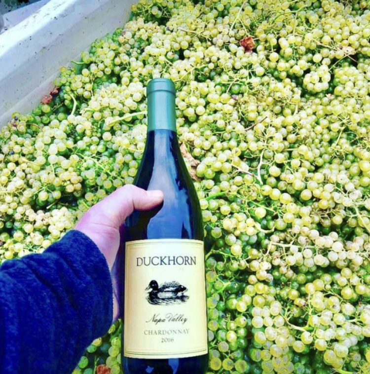 Chardonnay Chardonnay, Duckhorn Vineyards, Napa Valley, CA, 2023