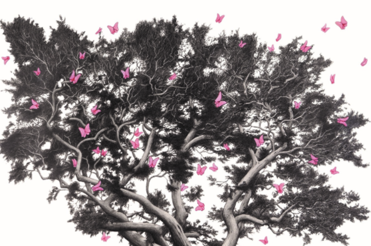 Cabernet Sauvignon Cabernet Sauvignon "Hartwell XX", Realm Cellars, Napa Valley, CA, 2019 (Benoit Touquette)