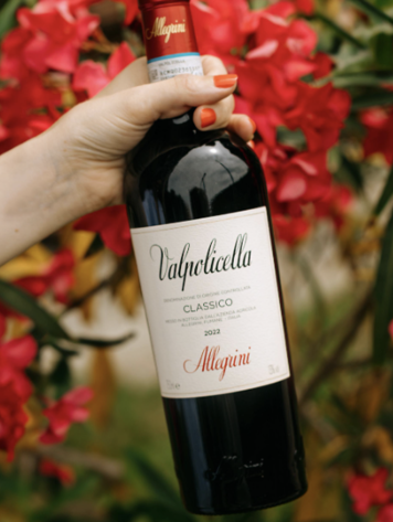 Corvina Valpolicella Classico, Allegrini, IT, 2023