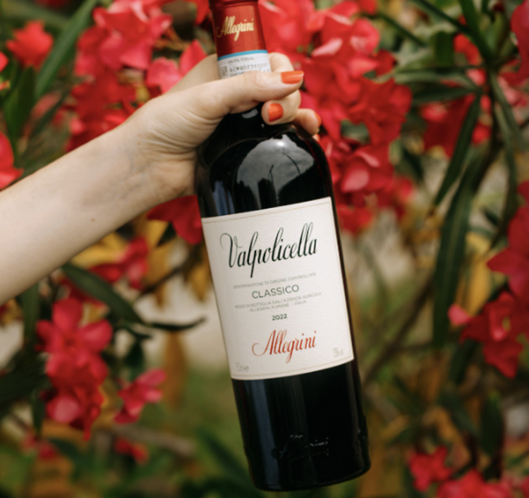 Corvina Valpolicella Classico, Allegrini, IT, 2023