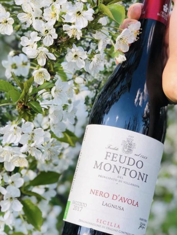 Nero d'Avola Nero d’Avola “Lagnusa”, Feudo Monotony, Sicilia DOC, 2023