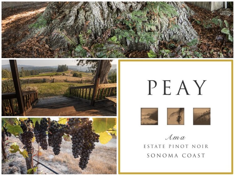 Pinot Noir Pinot Noir, "Ama" Peay Vineyards, Sonoma, CA, 2021