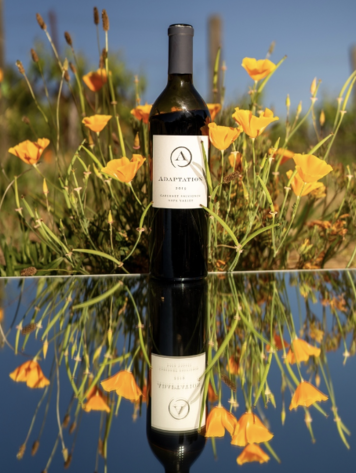 Cabernet Sauvignon Cabernet Sauvignon, Adaptation by Odette, Napa Valley, CA, 2019