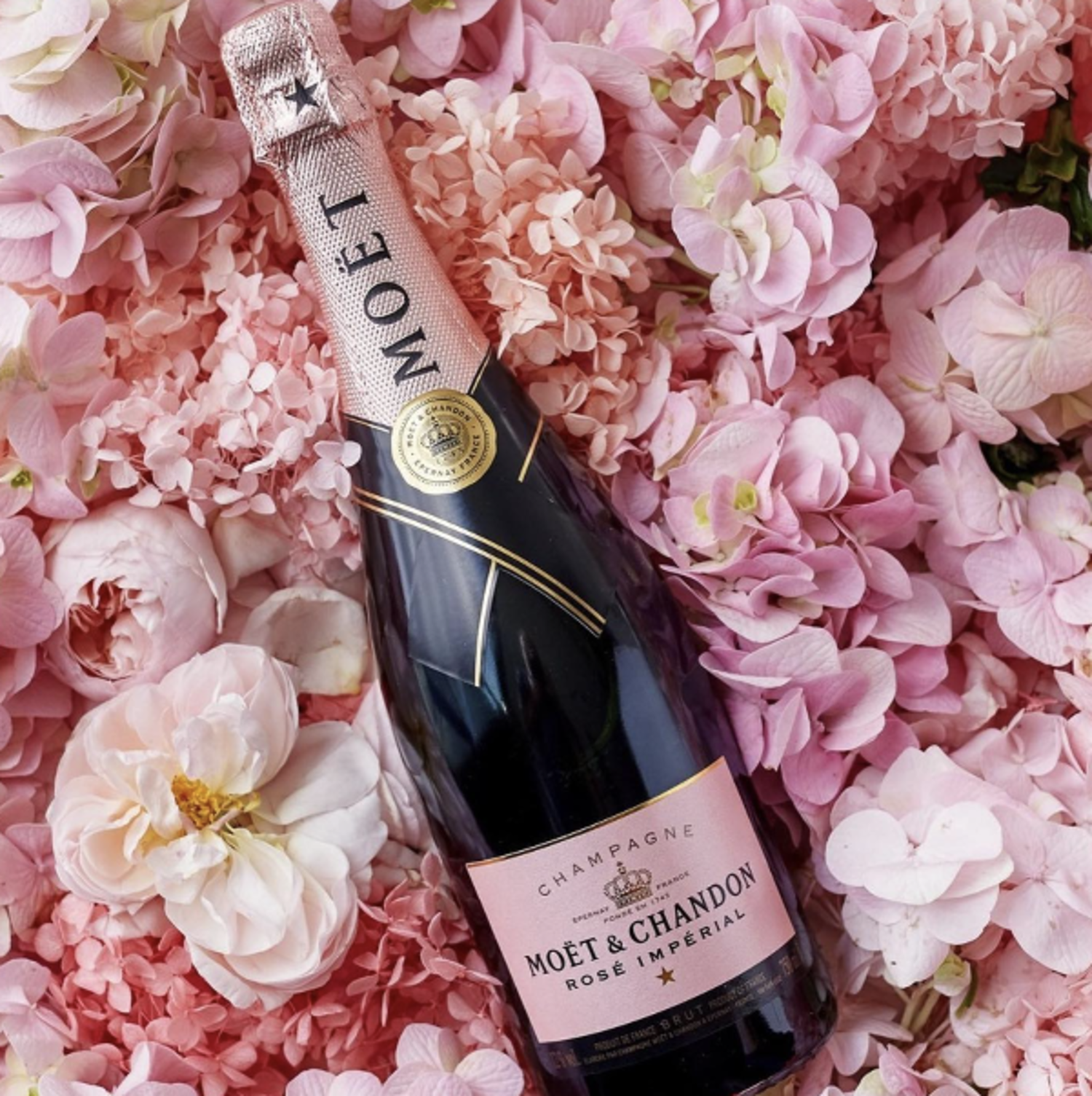 Champagne, 