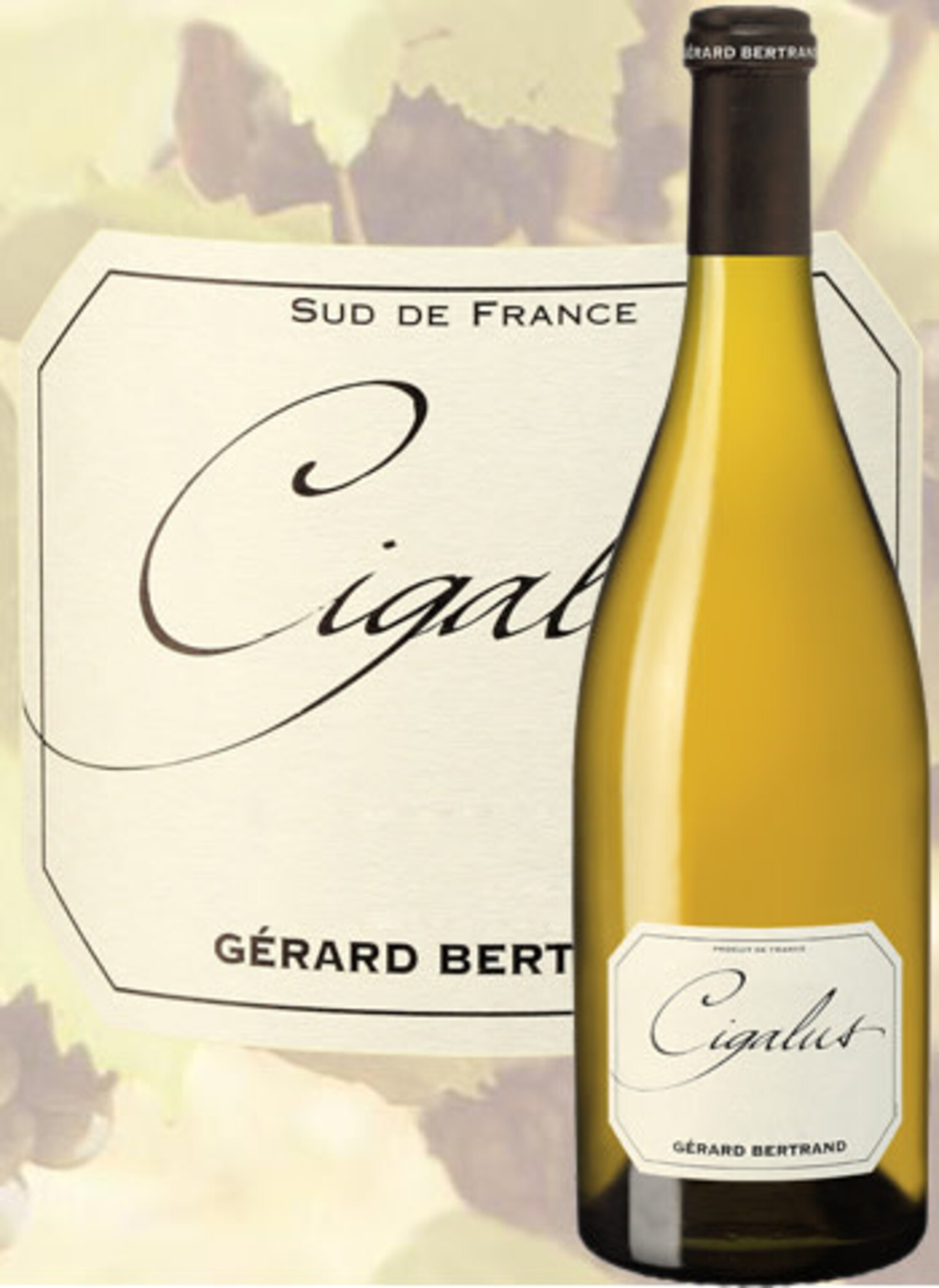 Rhone White Blend, Domaine de Cigalus, Languedoc, FR, 2021