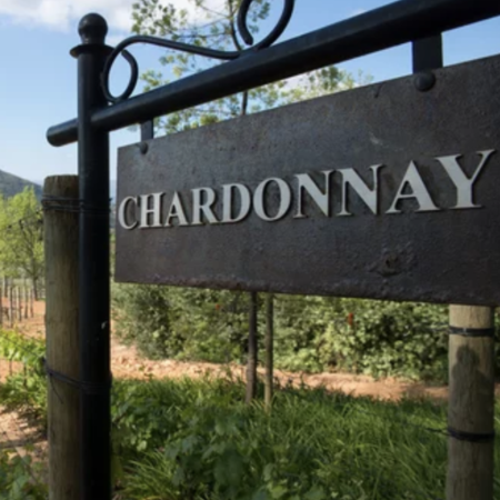 Chardonnay 
