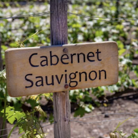 Cabernet Sauvignon