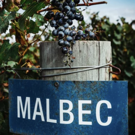 Malbec
