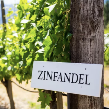 Zinfandel