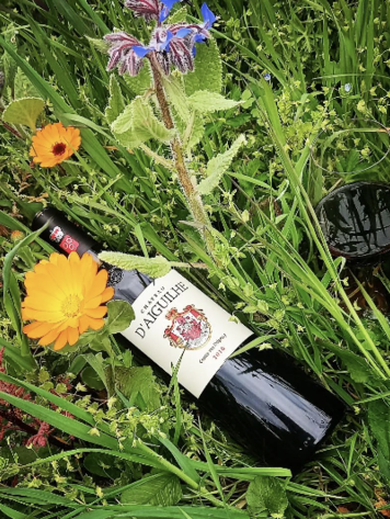 Bordeaux Château d'Aiguilhe, Comtes von Niepperg, Castillon Côtes de Bordeaux, FR, 2018