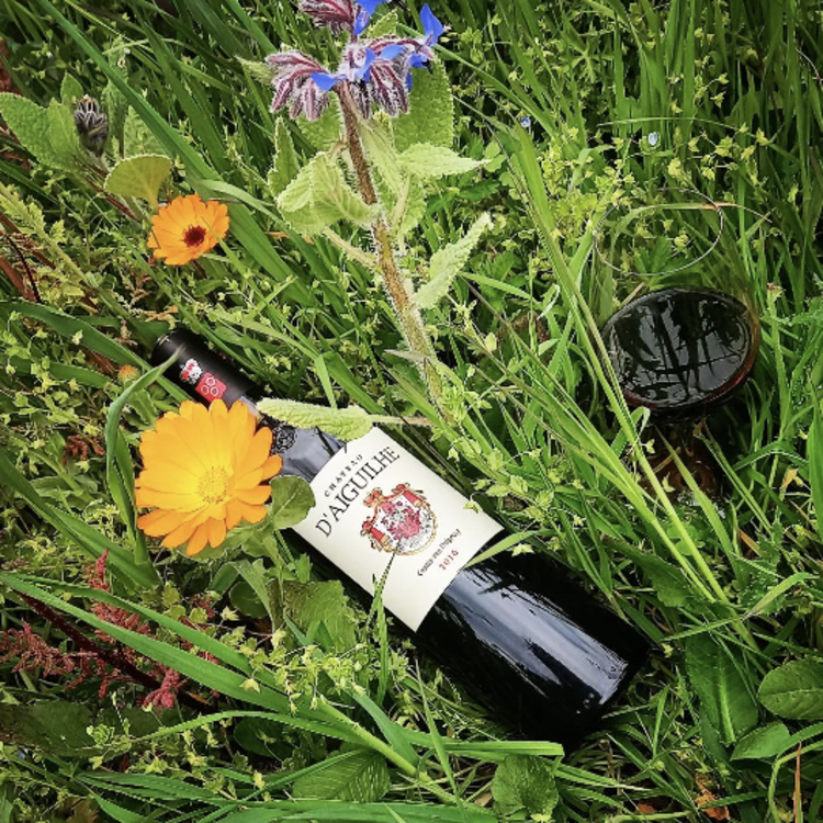 Bordeaux Château d'Aiguilhe, Comtes von Niepperg, Castillon Côtes de Bordeaux, FR, 2018