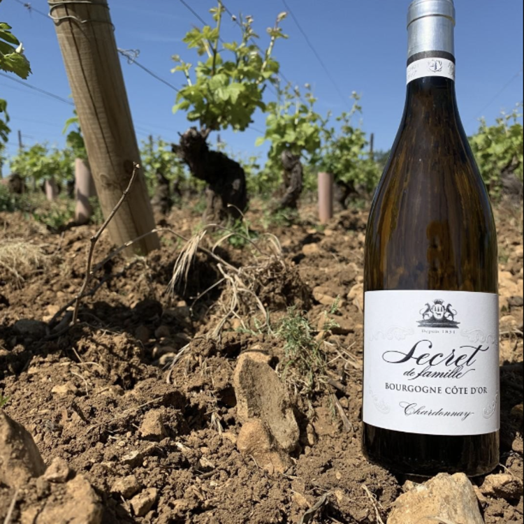 White Burgundy Chardonnay "Secret de Famille", Albert Bichot, Bourgogne, FR, 2018