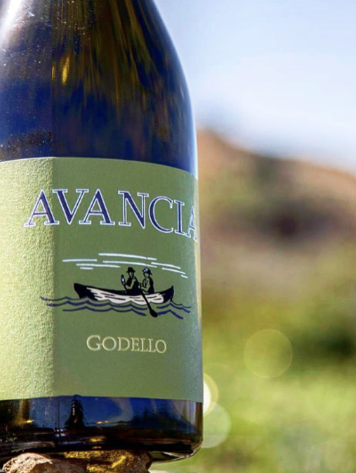 Godello Godello, "Old Vines" Bodegas Avancia, Valdeorras, ES, 2023