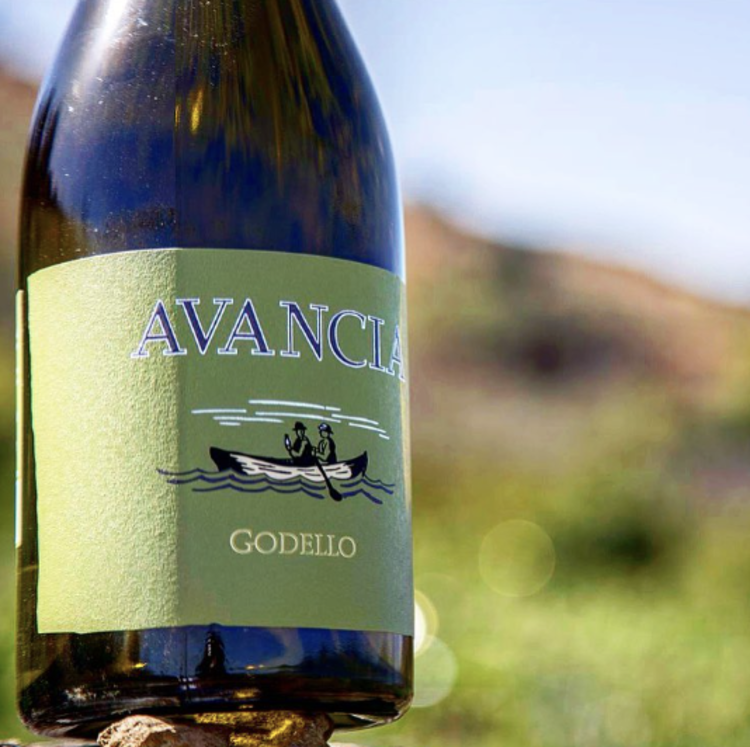 Godello Godello, "Old Vines" Bodegas Avancia, Valdeorras, ES, 2023