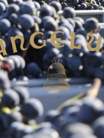 Bordeaux Château Angélus, 1er Grand Cru Classé "A", Saint-Émilion, FR, 2021 (MAGNUM OWC)