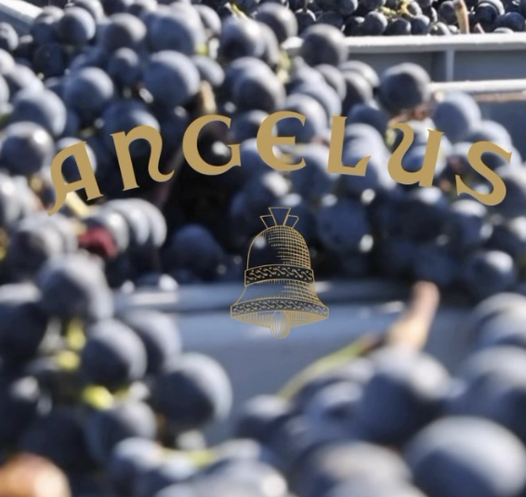 Bordeaux Château Angélus, 1er Grand Cru Classé "A", Saint-Émilion, FR, 2021 (MAGNUM OWC)