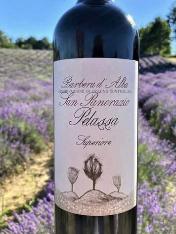 Barbera Barbera d'Alba "Superiore", Cantina Pelassa, San Pancrazio DOC, Piemonte, IT, 2021