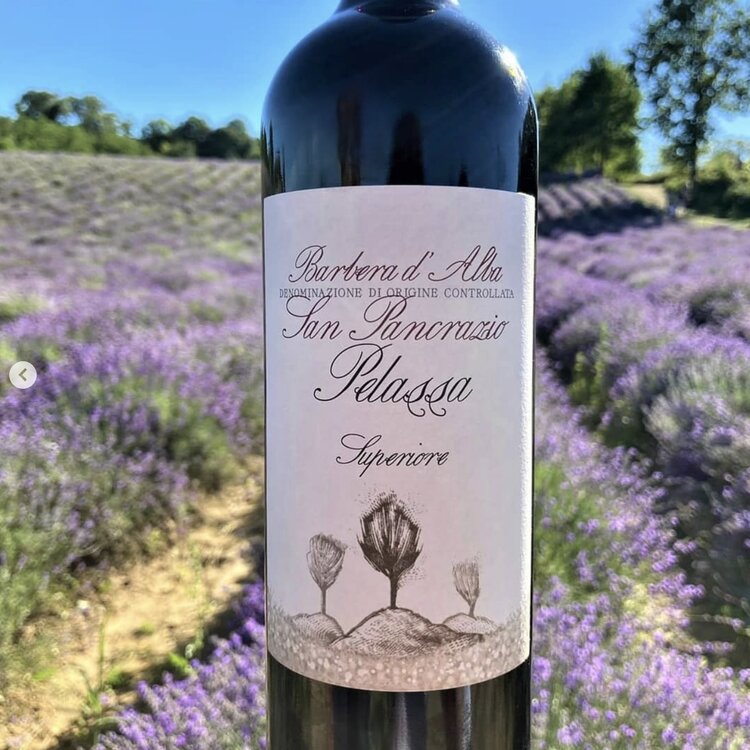 Barbera Barbera d'Alba "Superiore", Cantina Pelassa, San Pancrazio DOC, Piemonte, IT, 2021