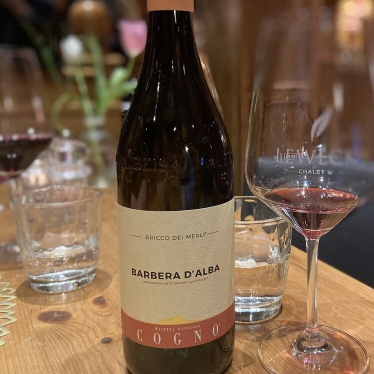 Barbera Barbera d'Alba "Bricco Dei Merli", Elvio Cogno, Piemont, IT, 2021 (Nadia Cogno)