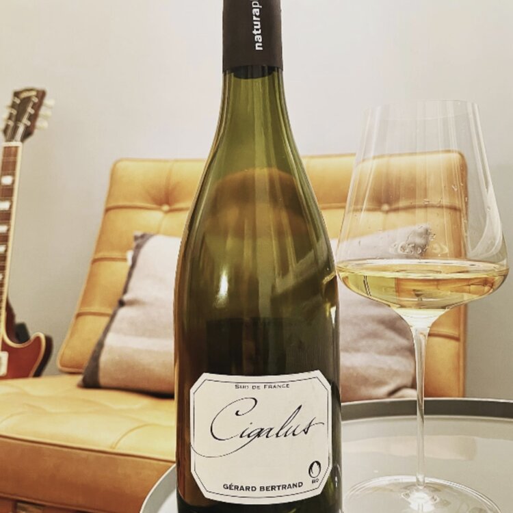 Other Whites Rhone White Blend, Domaine de Cigalus, Languedoc, FR, 2021