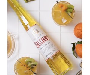 cordials-liqueurs-liqueur-