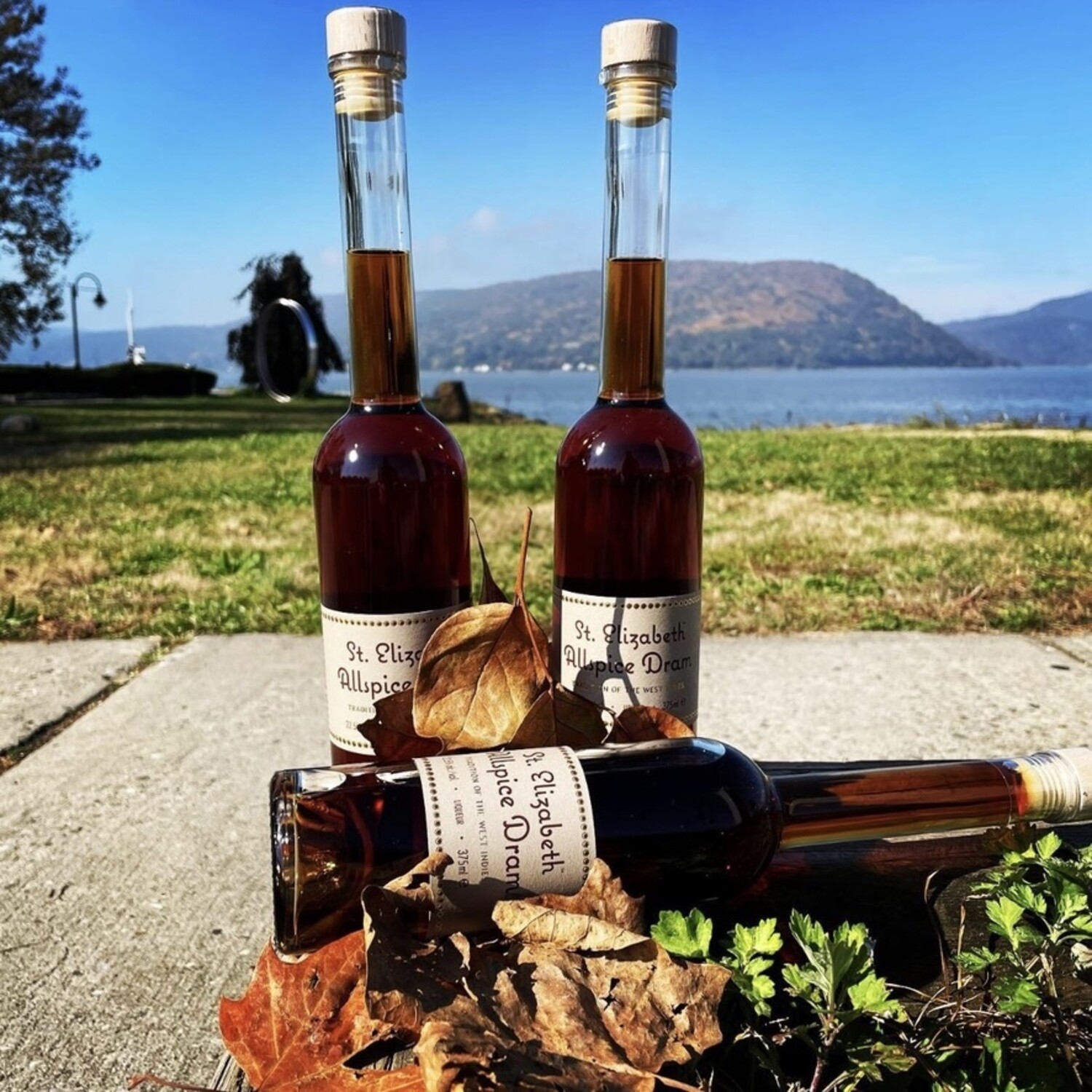 Allspice Dram, St Elizabeth, 750ml - Michael's Wine Cellar