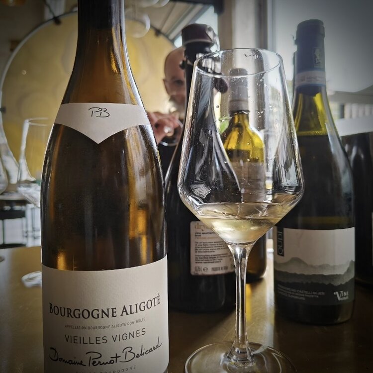 White Burgundy Bourgogne Aligote "Vieilles Vignes", Domaine Pernot Belicard, FR, 2022