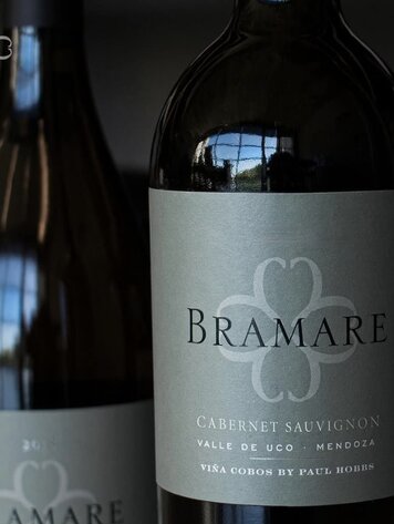 Cabernet Sauvignon Cabernet Sauvignon “Bramare”, Viña Cobos, Luján de Coyu, AR, 2019