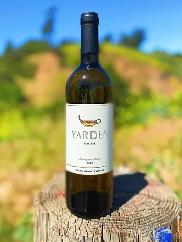 Sauvignon Blanc Sauvignon Blanc "Yarden",  Galilee, Israel, Golan Heights Winery, 2023