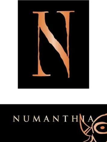 Tempranillo Tempranillo "Numanthia Toro", Numanthia, Toro, ES, 2019