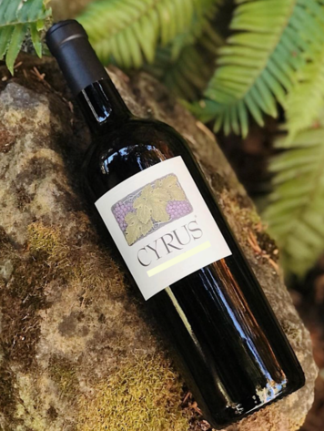 Bordeaux Blend Bordeaux Blend "Cyrus", Alexander Valley Vineyards, CA, 2020 (Wetzel family & Kevin Hall)