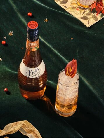 Cordials/Liqueurs Brandy "Apricot", Bols, 1L