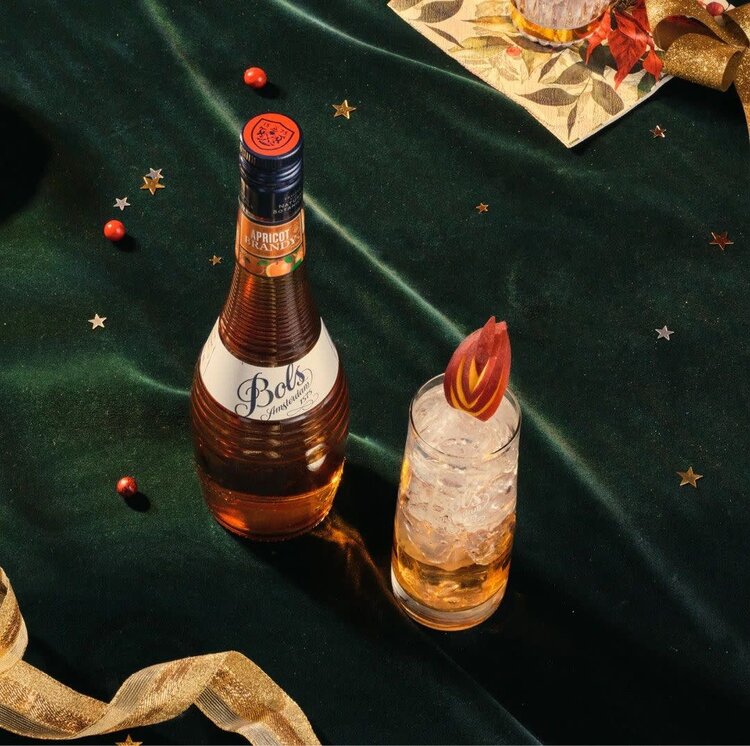 Cordials/Liqueurs Brandy "Apricot", Bols, 1L