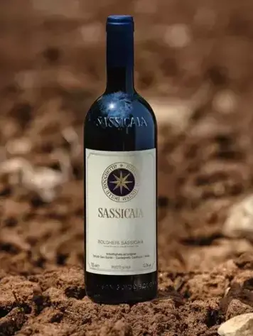 Super Tuscan Super Tuscan "Sassicaia'', Tenuta San Guido, Bolgheri, IT, 2022
