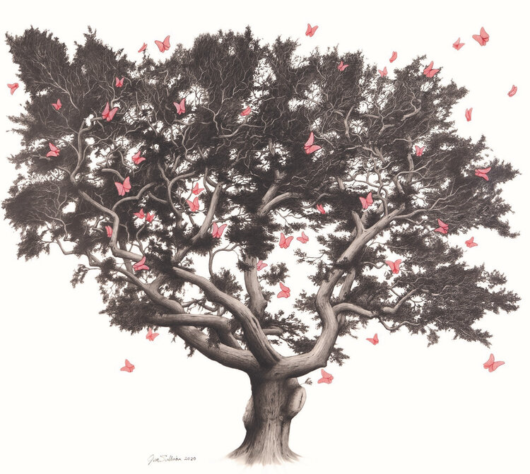 Cabernet Sauvignon Cabernet Sauvignon "Hartwell XX", Realm Cellars, Napa Valley, CA, 2022 (Benoit Touquette)