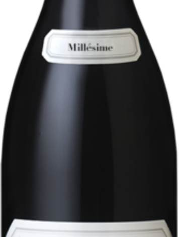 Burgundy Nuits St. Georges, Premier Cru "Murgers", Meo-Camuzet, FR, 2023