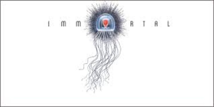 Cabernet Sauvignon Cabernet Sauvignon "Slope", Immortal Estate, Sonoma County, CA, 2019