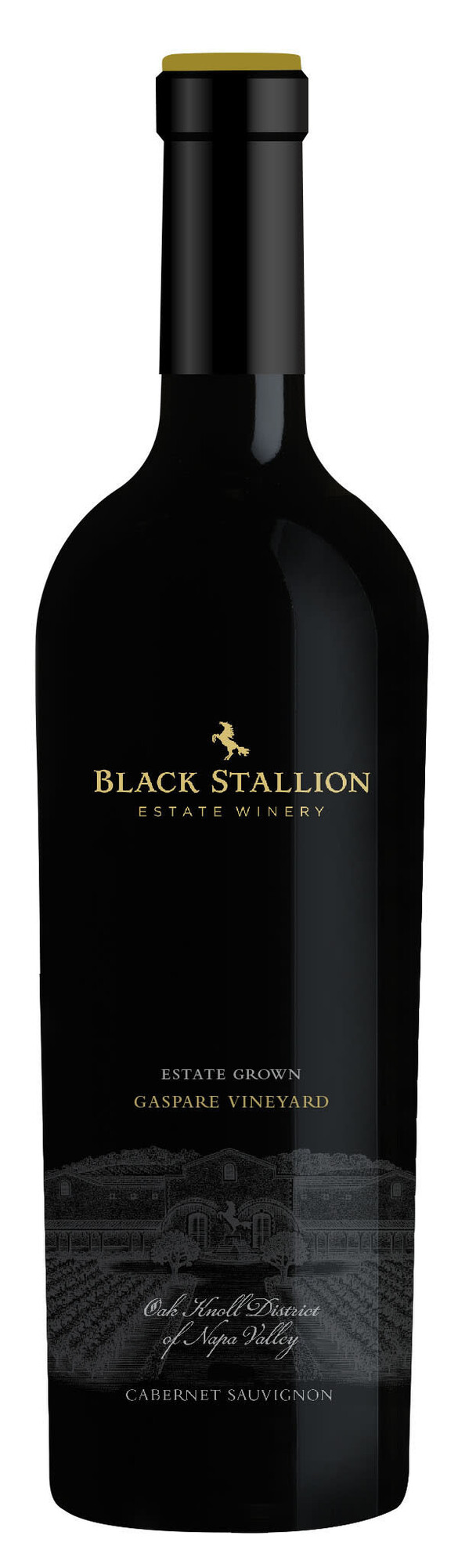Cabernet Sauvignon Cabernet Sauvignon,  "Gaspare" Black Stallion Estate, Napa Valley, CA, 2022