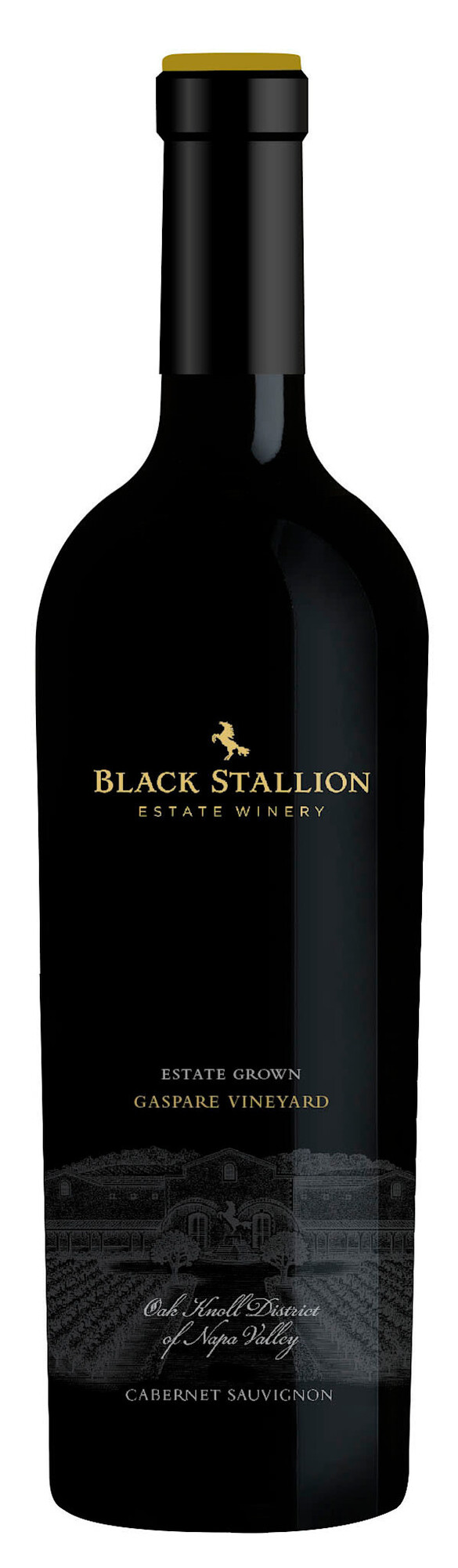 Cabernet Sauvignon Cabernet Sauvignon,  "Gaspare" Black Stallion Estate, Napa Valley, CA, 2022